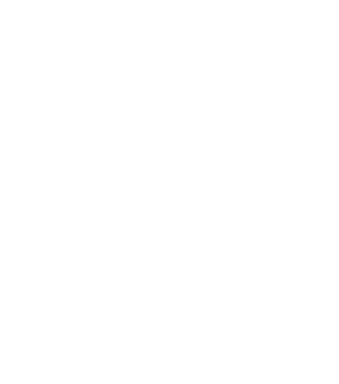 FlikerEx